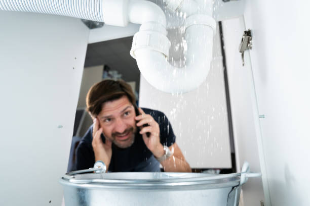 Best Leak Detection Services  in Flushing, MI