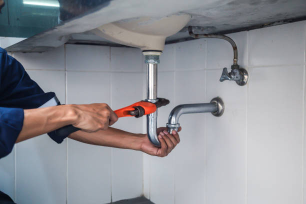 Best Affordable Plumbing Services  in Flushing, MI