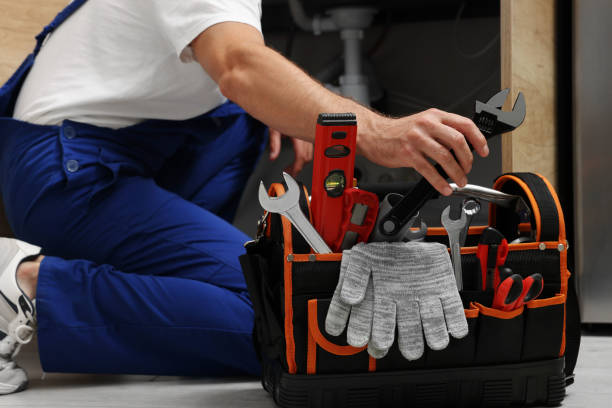 Best Local Plumber Services  in Flushing, MI
